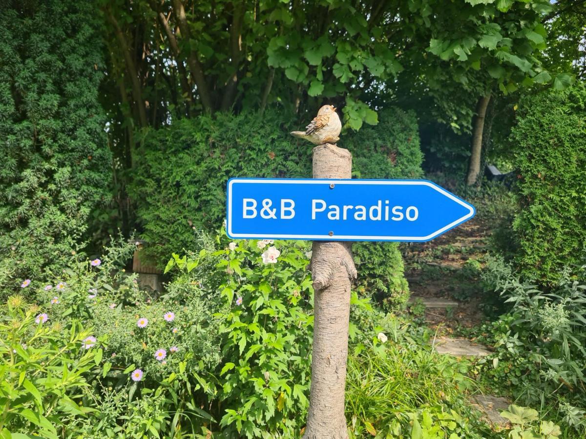 Zimmer Paradiso Busingen am Hochrhein Exteriör bild